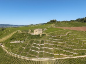 A stone house stands in terraced vineyards under clear skies, Y-Burg, Stetten im Remstal,