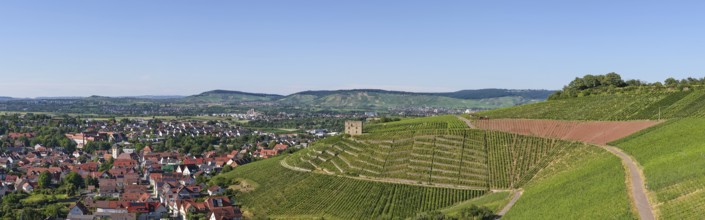 Wide view of a village and its surrounding hilly vineyards, Y-Burg, Stetten im Remstal,