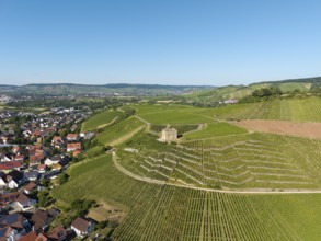 Large vineyards with a small building on a hill, Y-Burg, Stetten im Remstal, Baden-Württemberg,