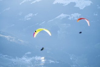 Two paragliders flying in front of snowy mountains in the evening light in winter, Kitzbühel Alps,