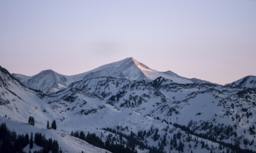 Summit of Grossvenediger at sunset in winter, Hochbrixen, Brixen im Thale, Tyrol, Austria