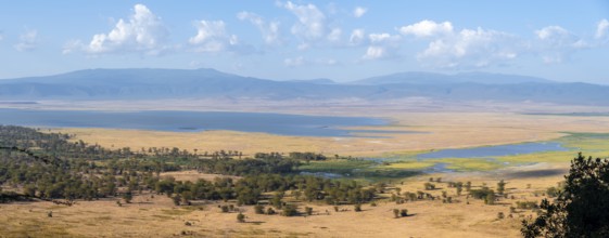View of savanna landscape and lakes in the Ngorongoro Crater from the crater rim in the evening