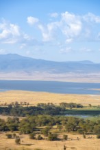 View of savanna landscape and lakes in the Ngorongoro Crater from the crater rim in the evening