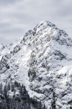 View of snowy Waxenstein summit, in winter, Wetterstein Mountains, Garmisch-Partenkirchen, Bavaria,