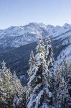 Snowy mountain landscape, ascent to Längenfelderkopf, view of Dreitorspitze, Wetterstein Mountains,