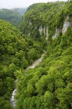 River flows through a green, wooded gorge, Okatse River in Okatse Gorge, Canyon, Imereti Region,