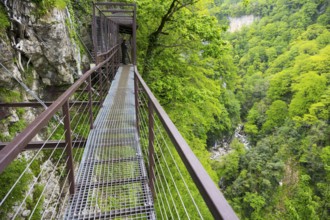 Metal footbridge leads through a green forest gorge, Okatse gorge, canyon, Imereti region, Imereti,