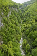 A river snakes through a green forest valley with rock walls, Okatse River in Okatse Gorge, Canyon,