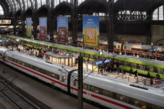 Interior view, ICE, Intercity Express, Flixtrain, RE, Regional-Express, trains, tracks, platform,
