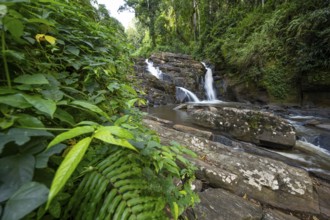 Derema Waterfall flows through thick vegetation, tropical rainforest in Amani Nature Forest