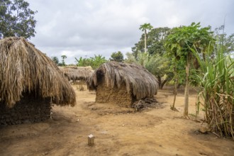 Simple traditional clay huts in a Sadaani village, Tanga, Tanzania