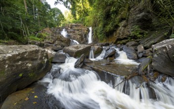 Derema Waterfall flows through thick vegetation, tropical rainforest in Amani Nature Forest
