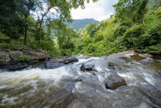 Waterfall flows through thick vegetation, tropical rainforest in Amani Nature Forest Reserve, long