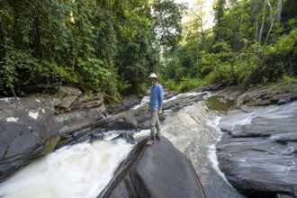Tourist at Derema Waterfall flows through dense vegetation, tropical rainforest in Amani Nature