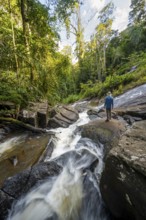 Tourist at Derema Waterfall, flowing through thick vegetation, tropical rainforest in Amani Nature