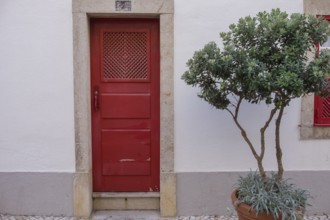Red door in white house wall next to a pot with a green plant, Ericeira, Portugal