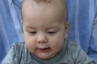 Portrait, baby at half a year, Mecklenburg-Vorpommern, Germany