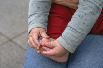 Hands and feet of a baby, half a year old, Mecklenburg-Vorpommern, Germany