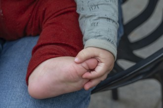 Hand and foot of a baby, half a year old, Mecklenburg-Vorpommern, Germany