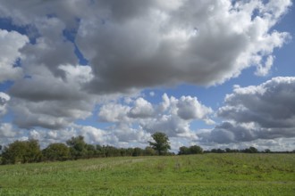Heap clouds (Cumulus), Mecklenburg-Western Pomerania, Germany