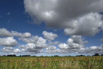 Landscape with wind turbines, cluster clouds (Cumulus), Mecklenburg-Western Pomerania, Germany