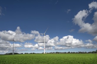 Wind turbines in a meadow, cluster clouds (Cumulus), Mecklenburg-Western Pomerania, Germany