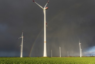 Königshovener Höhe onshore wind farm, on the A44 motorway near Bedburg, in front of the Jackerath