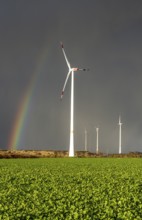 Königshovener Höhe onshore wind farm, on the A44 motorway near Bedburg, in front of the Jackerath