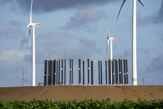 Construction site of the new Bedburg 3 wind farm, on recultivated open-cast mining site, 9 wind
