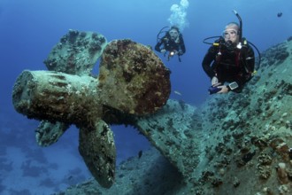 Diver and diver explore wreck, shipwreck, propeller, ship propeller, Salem Express, ferry, Port