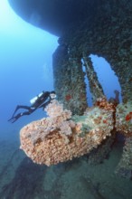 Diver, diver looking at large propeller, huge, propeller, crusted, overgrown, vegetation, rudder,
