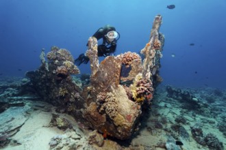 Diver, diver on Gubal lighter, wreck, shipwreck, Gubal Island, Hurghada, Red Sea, Egypt