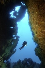 Diver, diver from cave entrance, coral reef, Gubal Island, Hurghada, Red Sea, Egypt