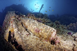 Grenade, bullet for heavy gun, British, in shipwreck, wreck, steamship SS Thistlegorm, ammunition