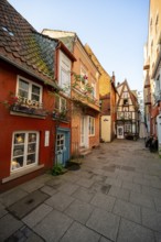 Colourful houses with shops and half-timbered houses in a small alley, picturesque district with