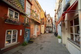 Colourful houses with shops and half-timbered houses in a small alley, picturesque district with
