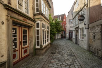 Colourful houses with shops and half-timbered houses in a small alley, picturesque district with