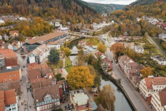 Overview of the city and river with bridges and autumn trees as well as half-timbered houses, Calw,
