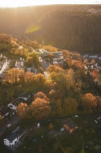 Aerial view of an autumn scene in evening light with trees, Calw, Black Forest, Germany