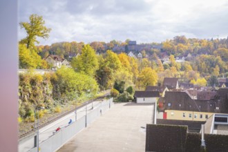 Urban environment with autumn trees along a road, Calw, Black Forest, Germany