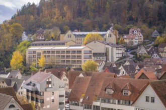 Modern building structures on a hillside with autumnal forests in the background, Calw, Black