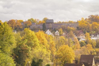 Autumn landscape with colorful foliage, modern buildings and a cloudy sky, Calw, Black Forest,