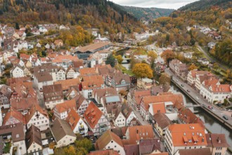 Panoramic urban view with half-timbered houses and autumnal forests in the background, Calw, Black
