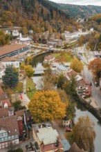 River with bridge through the city, surrounded by autumn landscape and half-timbered buildings,