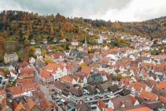 View of a picturesque town with numerous half-timbered houses and surrounding autumn forests, Calw,