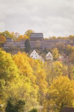 Autumn picture with colorful leaves, houses and cloudy sky, Calw, Black Forest, Germany