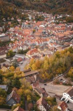 Panoramic view of a historic town with red-brick roofs and autumnal forest in the background, Calw,