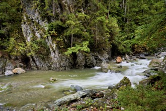 Diosaz mountain river in the gorge, Gorges de la Diosaz, Les Houches, Chamonix-Mont-Blanc,