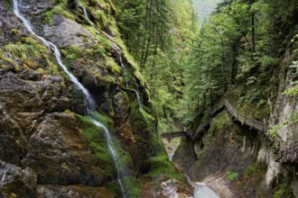 Wooden walkway in the Durnand Gorge, Les Valettes, Canton of Valais, Switzerland