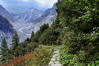 Hiking trail in autumn-colored surroundings with the Mer de Glace glacier, Mont-Blanc,